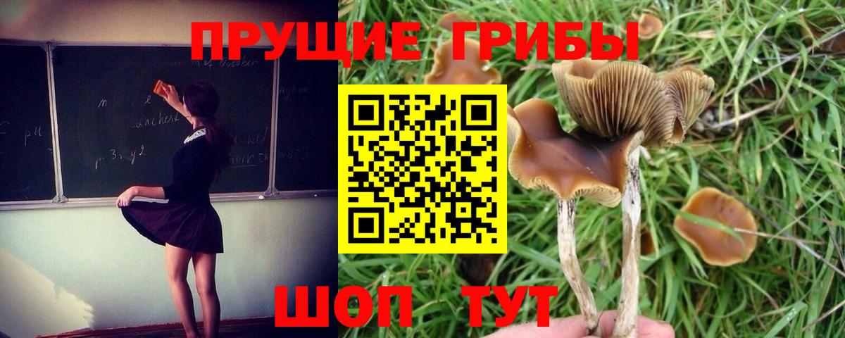 Галлюциногенные грибы мухоморы  Вход с VPN  Псилоцибиновые грибы GOLDEN TEACHER  Сочи 